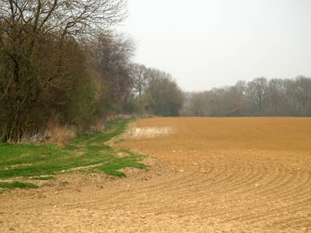 Bouillancy - Chemin de la Messe