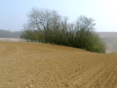 Bouillancy - La Garenne aux Chiens