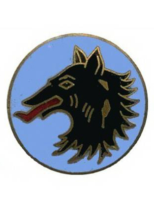 Insigne Escadrille E1 - Aronautique navale - Tte de loup - SPA 79