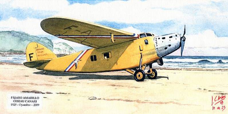 Oiseau Canari - Oyambre