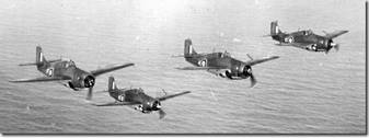 Grumman Marlett II