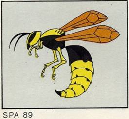 SPA 89