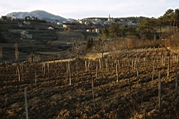 1967_02 11.jpg: (07) Largentière - Chassiers : Puits - Village