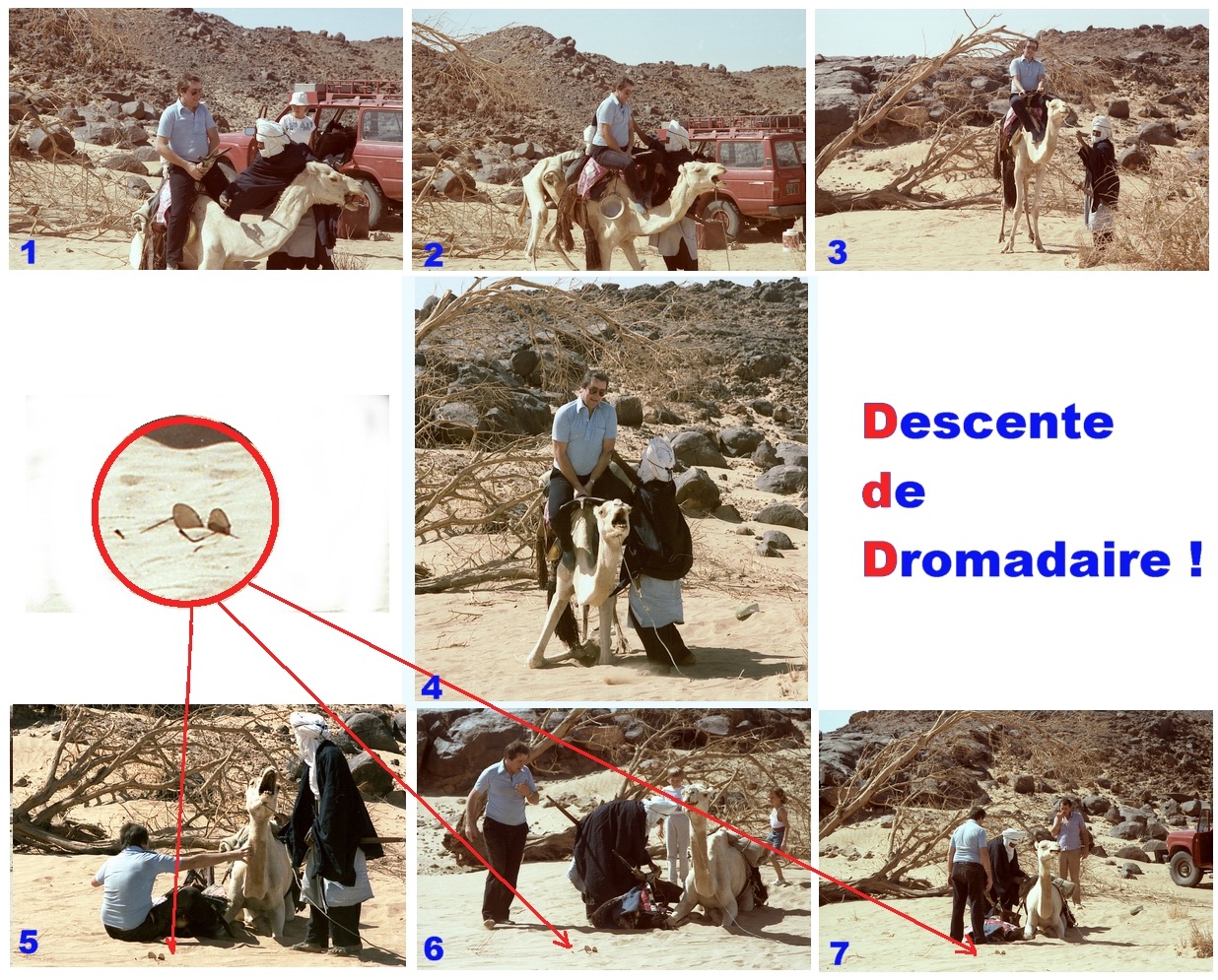 Niger - Descente de dromadaire