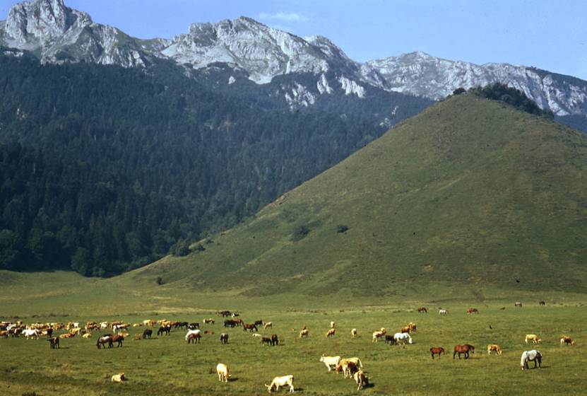 Plateau de Bnou