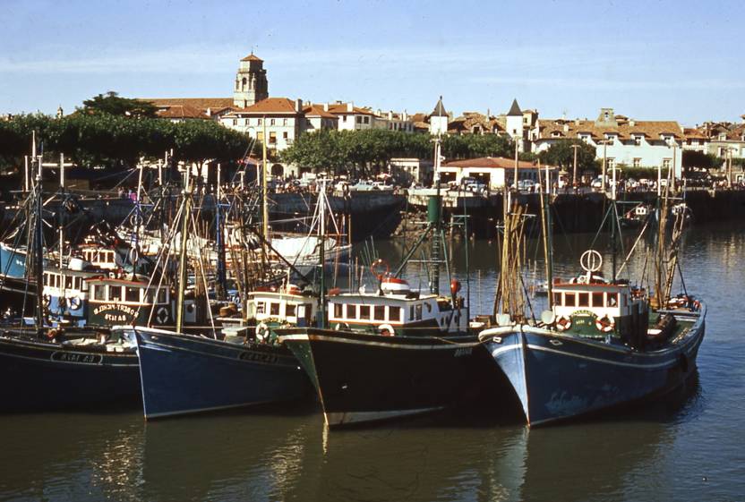 Saint-Jean de Luz - Thoniers