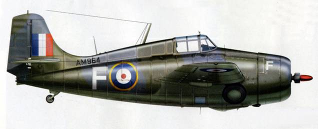Grrumann Martlet Mk II - AM 964 - Squadron 881 - Illustrious