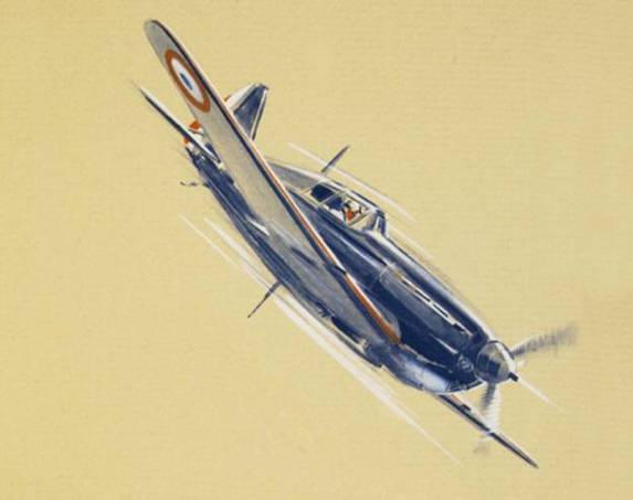 Morane Saulnier 406 - Profil